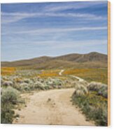 Antelope Valley Poppy Reserve #22 Wood Print
