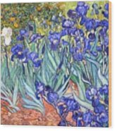 Irises #24 Wood Print