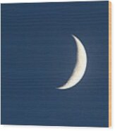 Moons #25 Wood Print