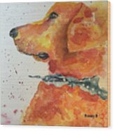 Golden Retriever Wood Print