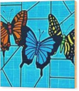 3  Butterflies On Blue Wood Print