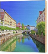 City Of Ljubljana Historic Riverfont View #3 Wood Print