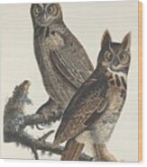 Great Horned Owl #3 Wood Print