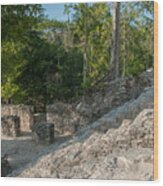 Grupo Coba At The Coba Ruins  #3 Wood Print