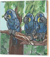3 Macaws Wood Print