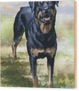 Rottweiler #3 Wood Print