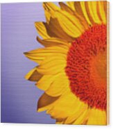 Sunflowers Floral Pattern Wood Print