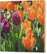 The Tulip Garden #1 Wood Print