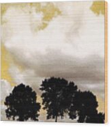 3 Tree Series #1 Wood Print