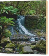 Waterfall In Deep Forest #3 Wood Print