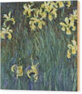 Yellow Irises #3 Wood Print