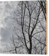 Trees Sky And Clouds #31 Wood Print