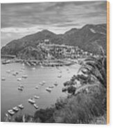 Catalina Island Avalon Bay Black And White Picture #4 Wood Print