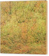 Fall Colors - Abstract #5 Wood Print