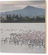 Flamingo Birds  #4 Wood Print