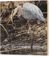 Great Blue Heron #5 Wood Print