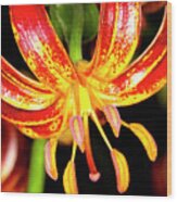 Martagon Lily  #4 Wood Print