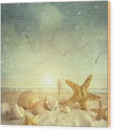 Starfish And Seashells  At The Beach #4 Wood Print