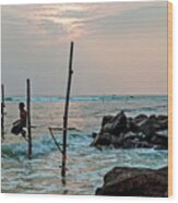 Stilt Fishermen - Sri Lanka #4 Wood Print