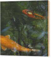 The Koi Pond #4 Wood Print