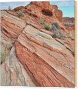 Wave Of Color In Valley Of Fire #5 Wood Print