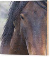 Wild Mustang Horse #4 Wood Print