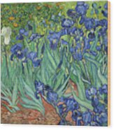 Irises Wood Print