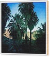 49 Palms Oasis. Have You Ever Been To Wood Print