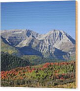 Rocky Mountain Fall #49 Wood Print