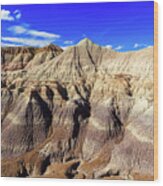 Arizona Petrified Forest #5 Wood Print