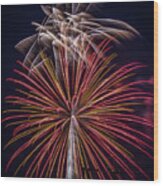 Fireworks 2015 Sarasota 32 Wood Print