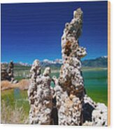 Mono Lake Tufa #1 Wood Print