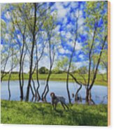 Texas Hill Country Wood Print