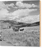 Stagecoach Ride Through Western United States Wood Print