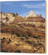 San Rafael Swell #59 Wood Print