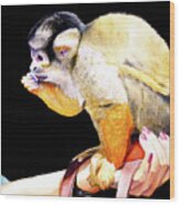 #59 Squirrel Monkey 2 #59 Wood Print