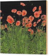 Poppies  #6 Wood Print