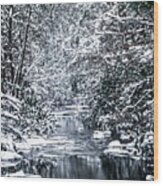 South Mountain Stream In Winter Woods #6 Wood Print