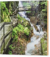 The Flume Gorge, Lincoln, New Hampshire #6 Wood Print