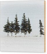 6 Trees Wood Print