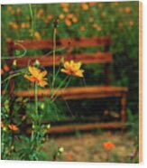 Galsang Flowers In Garden #61 Wood Print