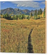 Rocky Mountain Fall #63 Wood Print