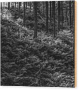 Forest #7 Wood Print