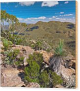 Wilpena Pound #7 Wood Print