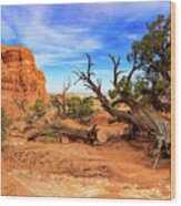 Arches National Park Wood Print