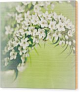 8609 Veronica's Dream Afternoon Wood Print