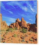 Arches National Park #9 Wood Print