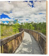 Florida Everglades #9 Wood Print