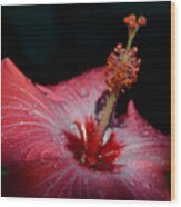 9- Hibiscus Wood Print