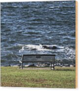 A Bench By The Sea Wood Print